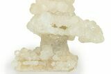 Cave Calcite Stalactite with Fluorescent Calcite - Wenshan Mine #223542-2